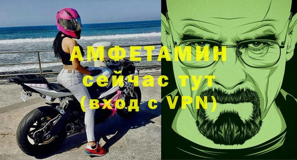 мдпв Ладушкин