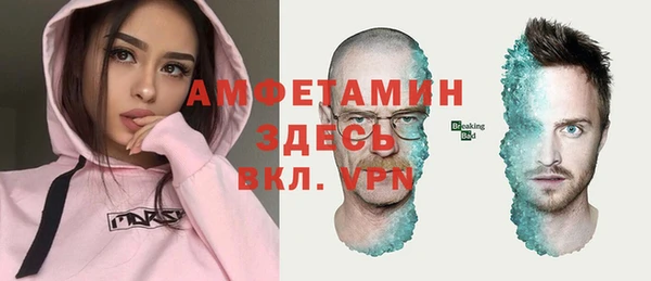 мдпв Ладушкин