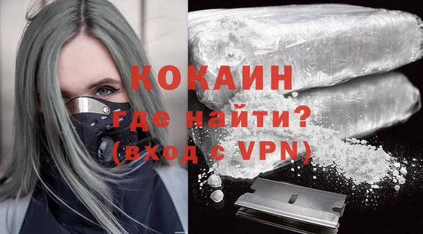 мдпв Ладушкин