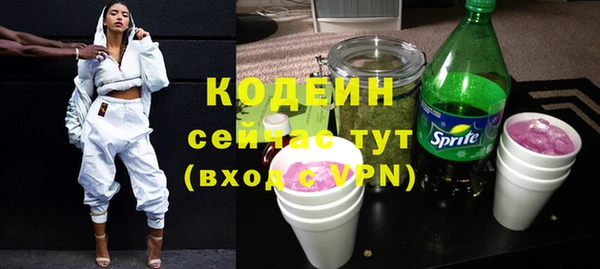 мдпв Ладушкин