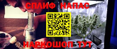 бошки Будённовск