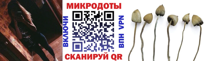 Галлюциногенные грибы мухоморы  Красногорск 