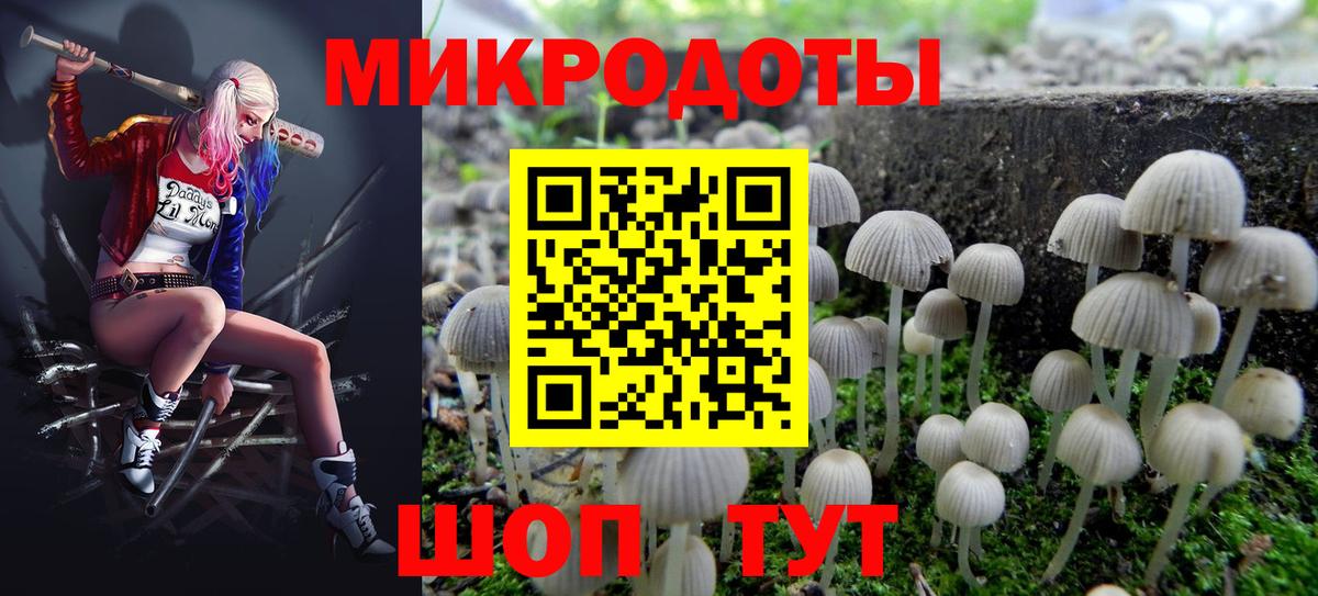 Псилоцибиновые грибы Psilocybe  Красногорск 