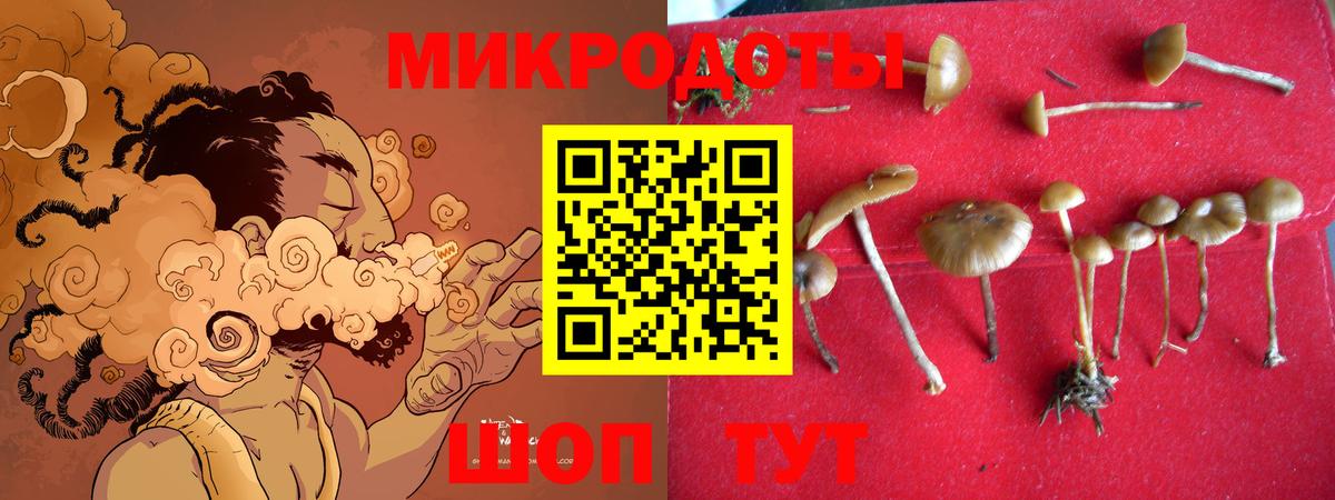 Псилоцибиновые грибы Cubensis Красногорск